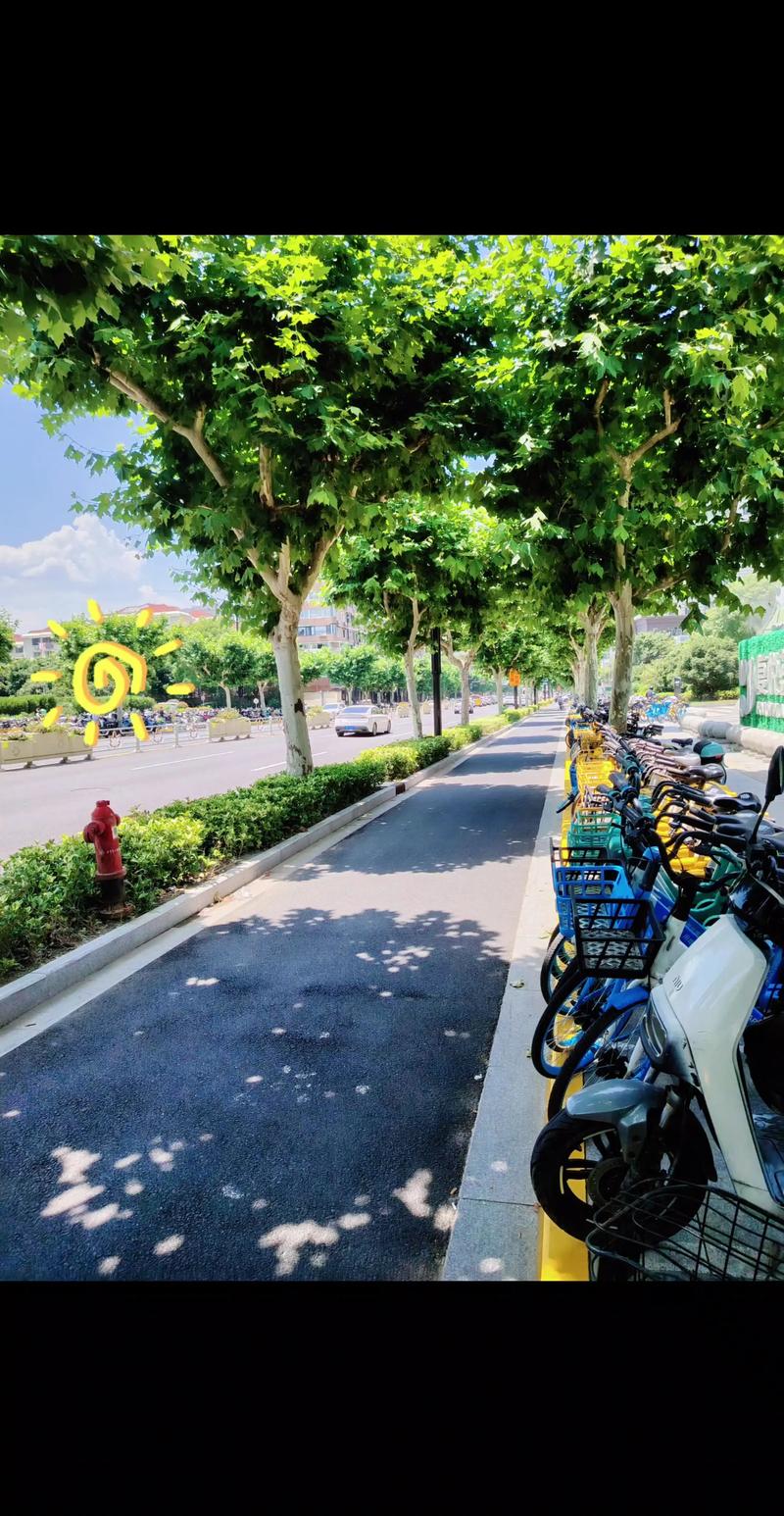 绿色出行：走出误区，拥抱未来